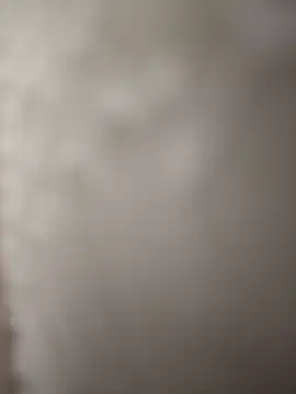 indianbull3684 online show from 12/11/24, 08:07