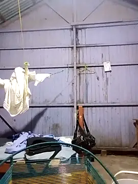 leyel00155 online show from 03/12/26, 12:17