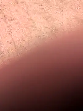 klownman1 online show from 03/01/25, 06:00