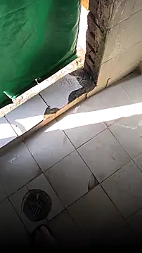 Snapshot of mendelicius chatting on 02/15/26, 02:25 mendelicius online show from 02/15/26, 02:25