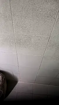 Snapshot of mendelicius chatting on 02/16/26, 04:36 mendelicius online show from 02/16/26, 04:36