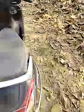 88karan88 online show from 12/25/24, 04:44