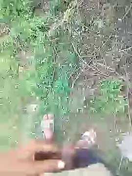 88karan88 online show from 01/20/25, 09:03