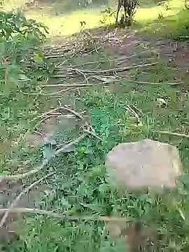 88karan88 online show from 02/24/25, 03:55