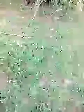 88karan88 online show from 02/26/25, 10:58