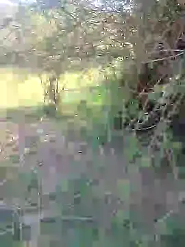 88karan88 online show from 02/27/25, 03:47