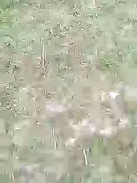 88karan88 online show from 02/27/25, 11:20