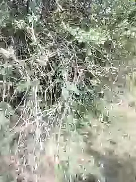 88karan88 online show from 02/28/25, 09:04