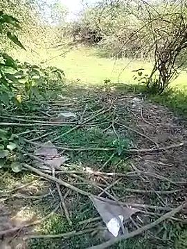 88karan88 online show from 03/03/25, 05:09