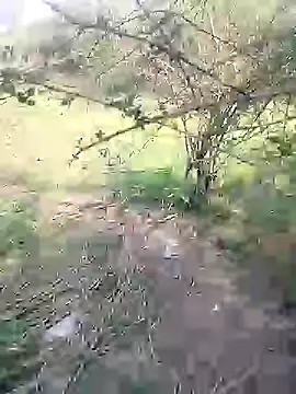 88karan88 online show from 03/04/25, 04:38