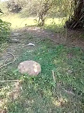 88karan88 online show from 03/05/25, 04:34