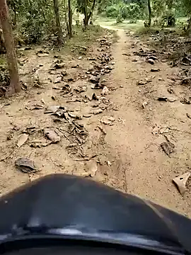 88karan88 online show from 10/29/25, 04:48