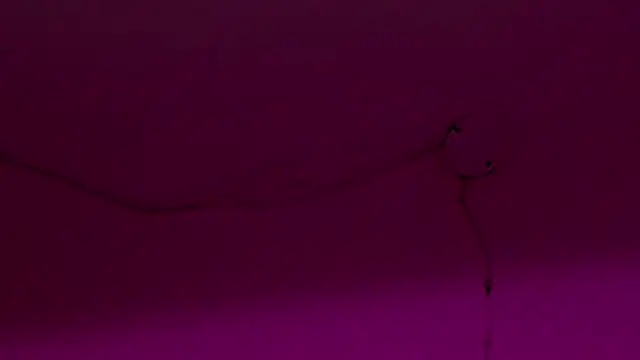 Scarlett 811 online show from 07/22/26, 07:49