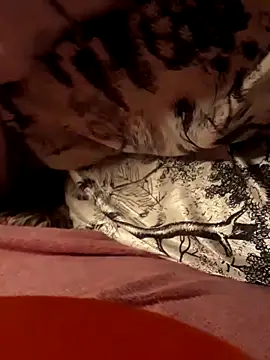 Snapshot of Soul_Ana chatting on 02/26/25, 02:03 Soul Ana online show from 02/26/25, 02:03