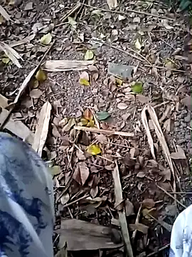 Snapshot of Soul_Ana chatting on 02/28/25, 10:30 Soul Ana online show from 02/28/25, 10:30