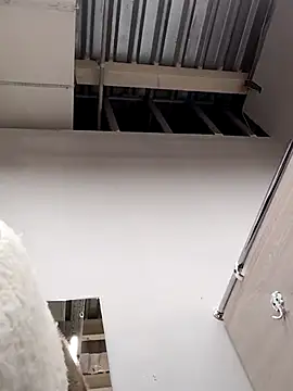 Snapshot of Morphine_666 chatting on 12/14/24, 06:13 Morphine 666 online show from 12/14/24, 06:13