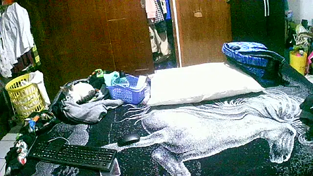 Snapshot of jperezofficial1 chatting on 09/13/25, 09:42 jperezofficial1 online show from 09/13/25, 09:42