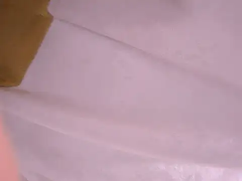 Snapshot of tatsumi_nao chatting on 01/22/25, 11:32 tatsumi nao online show from 01/22/25, 11:32