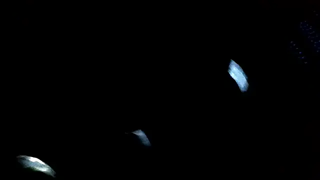 Antoniothedon online show from 01/16/25, 03:02