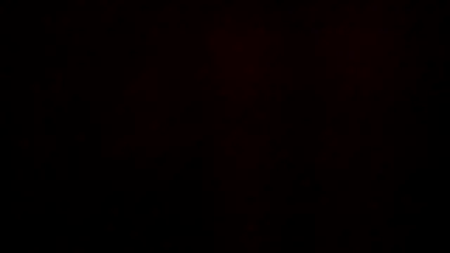 leatherz69 online show from 12/21/24, 06:19