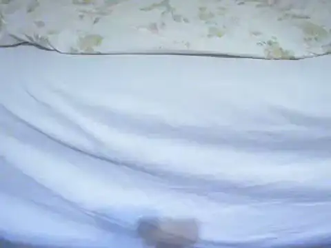 Tiger202441 online show from 02/12/25, 11:41