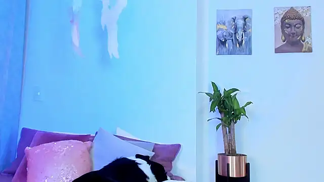 StormiRusso online show from 01/30/25, 12:39