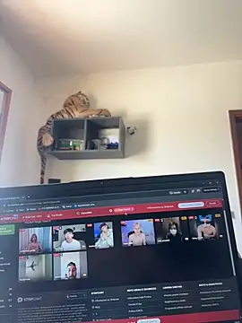 Lilyassjdhz online show from 04/28/26, 12:21