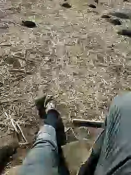 murokkk31 online show from 12/03/24, 08:38