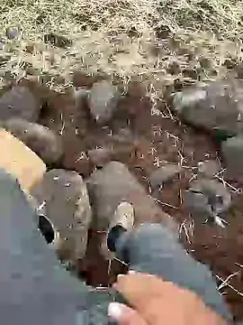 murokkk31 online show from 12/11/24, 12:23