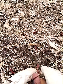 murokkk31 online show from 09/15/25, 02:55