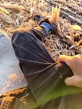 murokkk31 online show from 09/24/25, 03:21