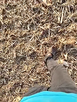 murokkk31 online show from 09/30/25, 01:49