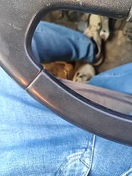 murokkk31 online show from 01/08/26, 08:27