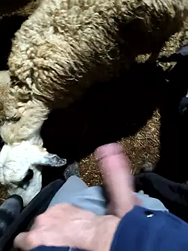 murokkk31 online show from 01/09/26, 11:28