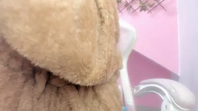 Snapshot of meribeth303av chatting on 12/22/24, 02:17 meribeth303av online show from 12/22/24, 02:17