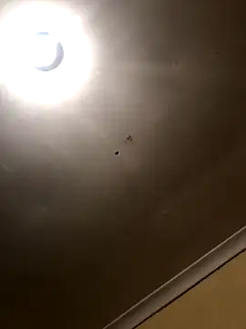 Snapshot of SmallGoodNut chatting on 11/15/25, 04:10 SmallGoodNut online show from 11/15/25, 04:10