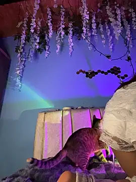 Lily candy X online show from 03/03/26, 05:24