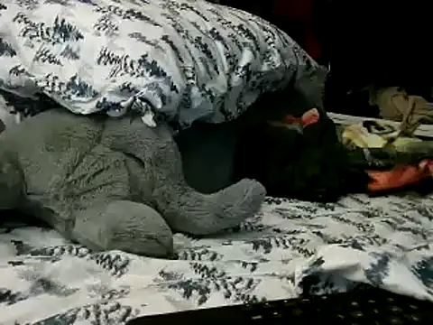 WHITEDAROSE online show from 01/15/25, 02:13