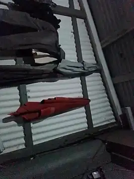 Algenis1232 online show from 11/04/25, 07:29