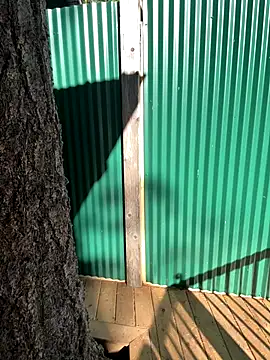 twist699 online show from 11/04/25, 06:07