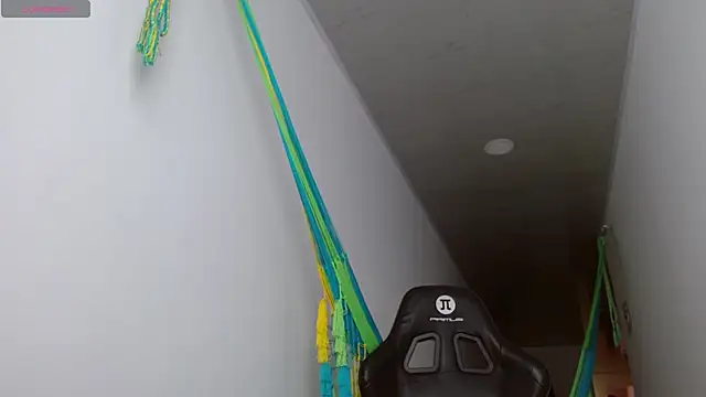 danna peterson1 online show from 10/27/25, 05:28