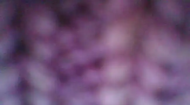 Snapshot of mia_cooper_24 chatting on 12/30/24, 07:00 mia cooper 24 online show from 12/30/24, 07:00