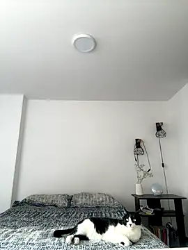 SofiaG  online show from 10/04/25, 07:01