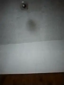 Snapshot of Xtrem3HARDxxx chatting on 12/12/24, 06:14 Xtrem3HARDxxx online show from 12/12/24, 06:14