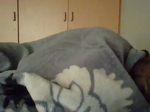 Snapshot of TheeMassageMobileSpa chatting on 02/20/25, 06:28 TheeMassageMobileSpa online show from 02/20/25, 06:28