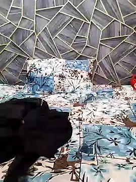 Snapshot of Diya_Chopra chatting on 12/16/24, 04:45 Diya Chopra online show from 12/16/24, 04:45