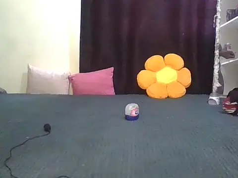 wildnastia online show from 04/06/26, 04:57