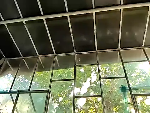 Snapshot of Milky_hairy_mommy chatting on 09/15/25, 01:00 Milky hairy mommy online show from 09/15/25, 01:00