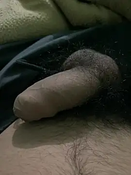 Snapshot of charming_dick15 chatting on 12/24/24, 01:50 charming dick15 online show from 12/24/24, 01:50