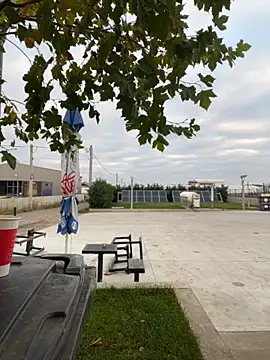 baramadalin online show from 11/06/25, 05:30